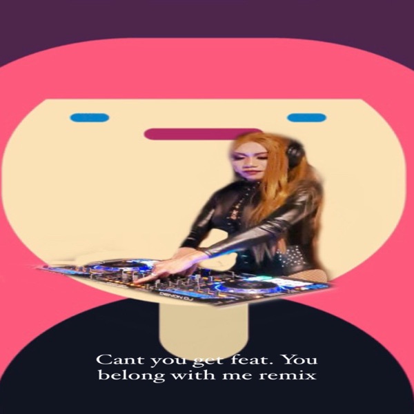 Cant you get (feat. you belong with me)