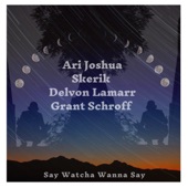 Say Watcha Wanna Say (feat. Delvon Lamarr) artwork