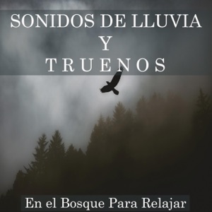 Sonidos de Lluvia y Truenos en el Bosque Para Relajar