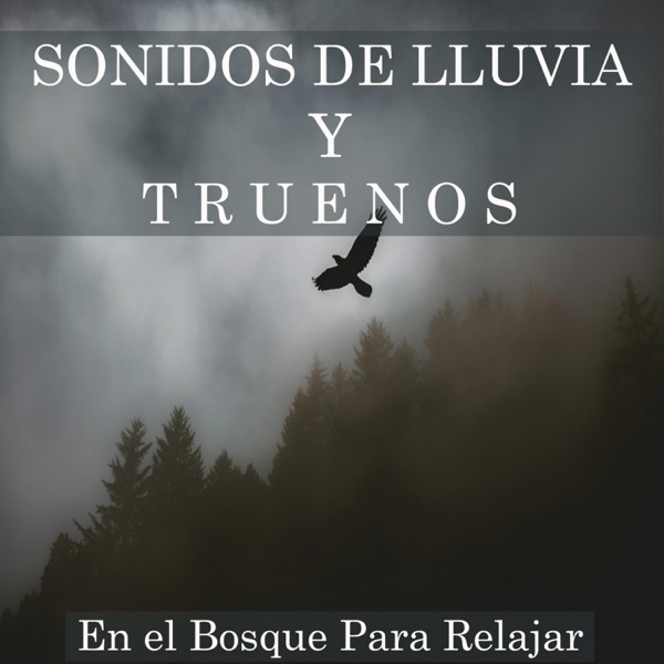 Sonidos de Lluvia y Truenos en el Bosque Para Relajar