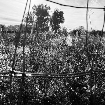 800 Reasons - Single