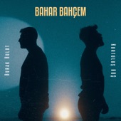 Bahar Bahçem artwork