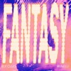 ELY OAKS/MINELLI - Fantasy (Record Mix)