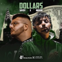 Dollars (feat. Indoor Leuz) - Single - Shvdy