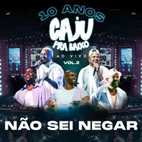 Não Sei Negar — Caju Pra Baixo