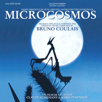 La nuit (Microcosmos)-thumbnail