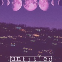 Untitled - Stephen Curtis