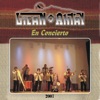 Concierto en Vivo