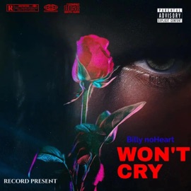 Won't Cry Billy noHeart