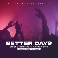 Better Days (feat. Endle) - Single - Senior General & Mr chillax sa
