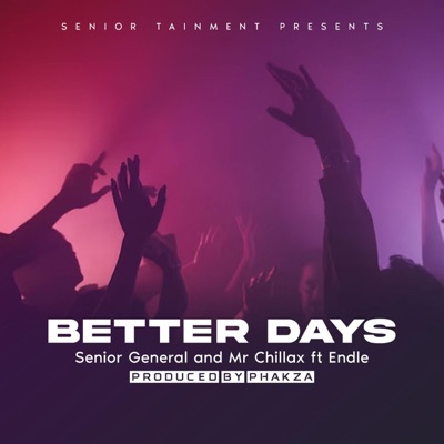 Better Days (feat. Endle) - Single