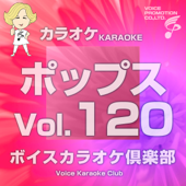 ミ・アモーレ (カラオケ Originally Performed By 中森明菜)