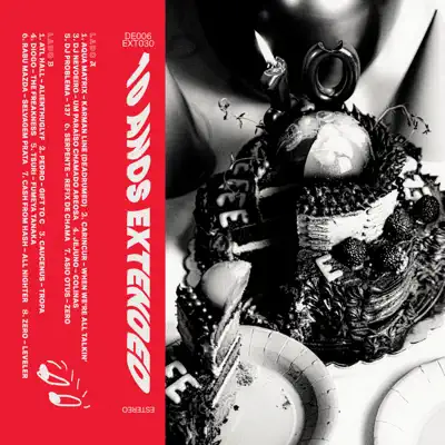 Ascolta 'V.A. 10 Anos Extended Records' di Various Artists