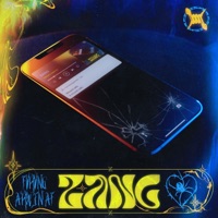 Zang - Single - FVRVNG & ArwinAf