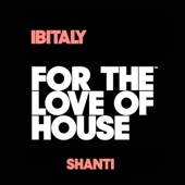 Shanti (Extended Instrumental Mix) artwork