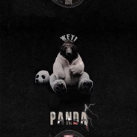 Panda - Single - JETI