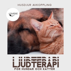 Husdjur avkoppling: Ljudterapi för hundar och katter, Lugna ner din fyrbenta vänner, Minska ångest
