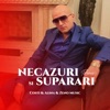 Necazuri și supărări (Remix) - Single