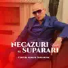 Costi, Alina & Zeno Music - Necazuri și supărări (Remix)