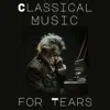Mass, Op. 12: V. Panis angelicus