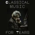 Mass, Op. 12: V. Panis angelicus