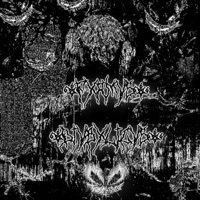 FXRMVS DIVBXLICVS - Single - Trvsh.exe