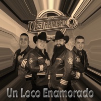 Un Loco Enamorado - Single - Grupo Destrampado