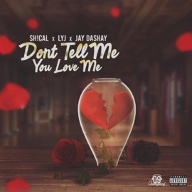 Don't Tell Me You Love Me (feat. Lyj & Jay Dashay) Sarahn & Sh!cal
