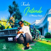 Intando (feat. Mduduzi Ncube) artwork