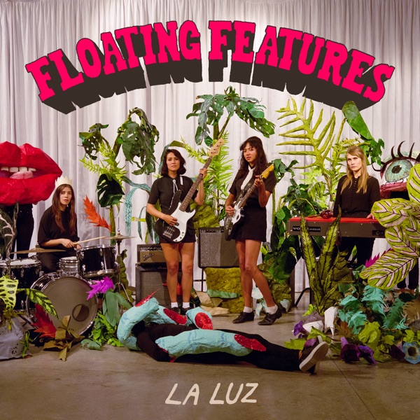 Floating Features cover