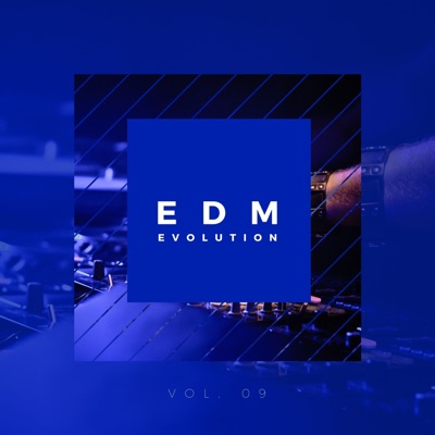 EDM Evolution - Vol. 09