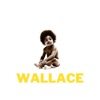 Wallace - Single