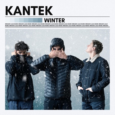 Winter - Single
