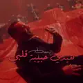 Haydi Habibit Albi
