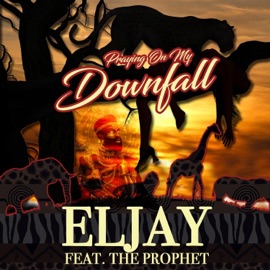 Praying on my Downfall (feat. The Prophet) Eljay