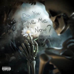 Do You Like Me Now