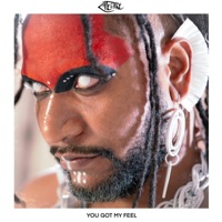 You Got My Feel - Single - Zatélithe