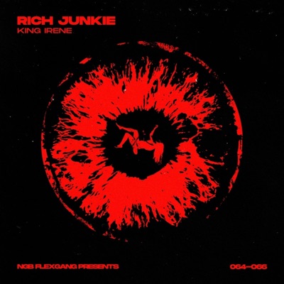 Rich Junkie - Single