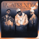 La Aprendiz (Remix) artwork