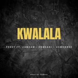 Kwalala (feat. Feexy, Zamzam, Erm sani & Usman bee) The Menz