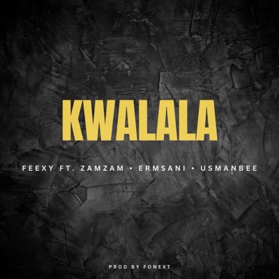 Kwalala (feat. Feexy, Zamzam, Erm sani & Usman bee) - Single