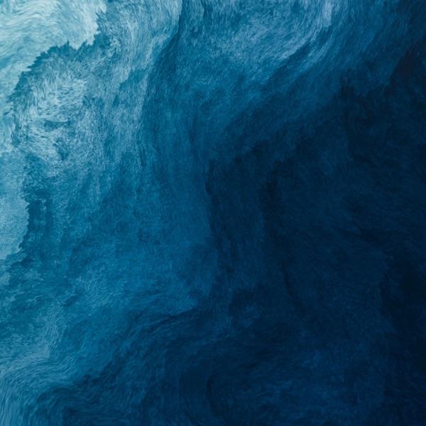 Reef - Single