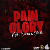 Pain & Glory artwork