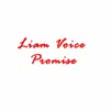 Liam Voice - Promise
