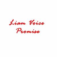 Promise — Liam Voice