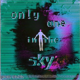 Only one in the Sky Prod. 2B2B