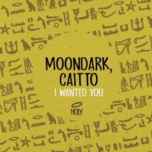 I Wanted You - Single