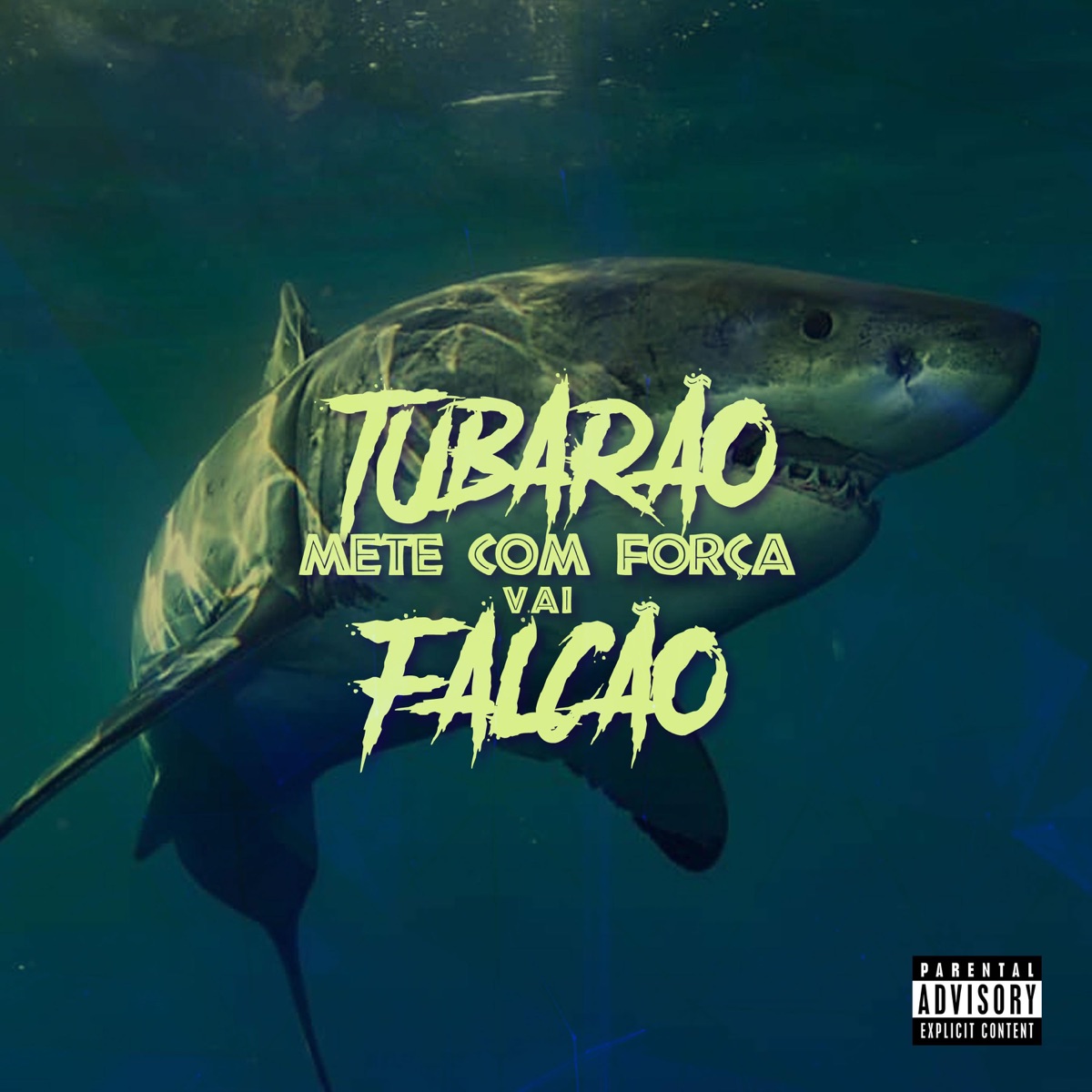 Tubarao Mete Com Força Vai Falcao Mete Com Força - Single – Album par Mc  Dhama, DJ Ruan da VK & Rafael Foxx – Apple Music