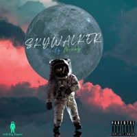 Skywalker - Single - Coolz Money