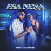 ESA NENA RMX artwork